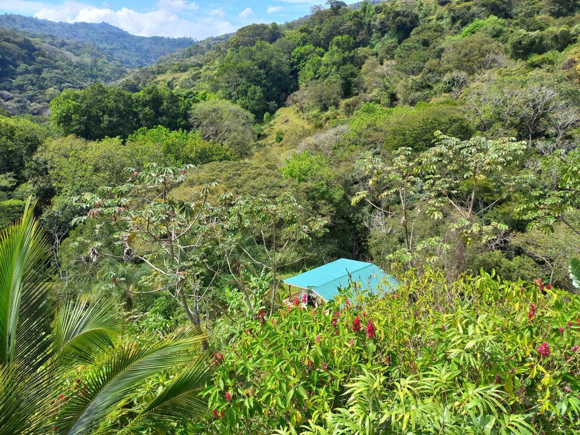 Naranjo Casa El Colibri别墅 外观 照片